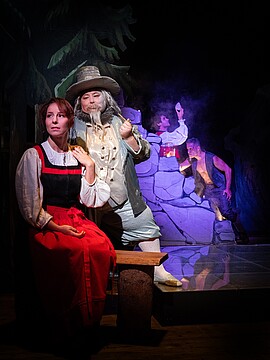 Banner Das kalte Herz