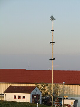 Banner Maibaumaufstellen