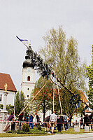 Logo Maibaum | Aufstellen am Dorfplatz