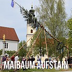 Logo Maibaum aufstellen